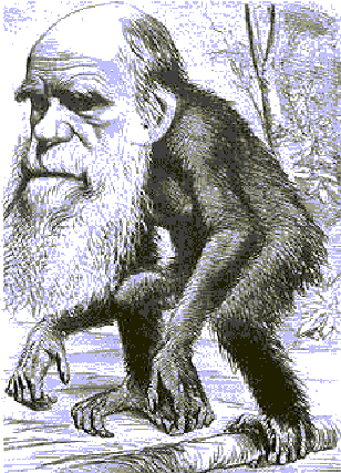 Resultado de imagen de contra Darwin